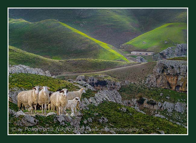 Livingin the cretan mountains